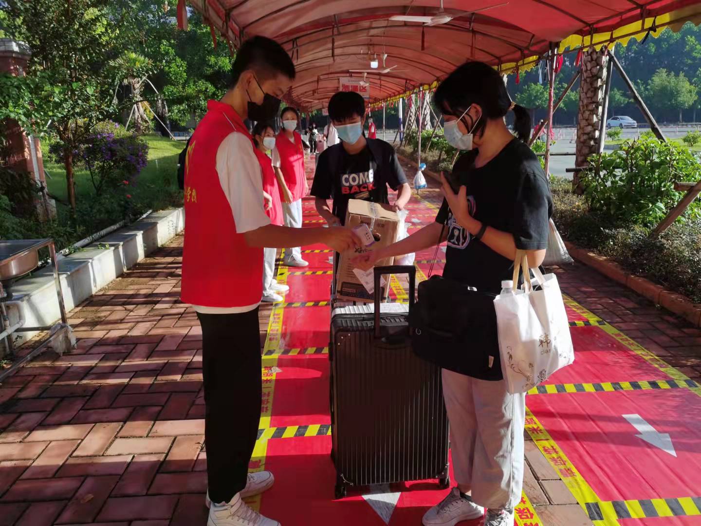 志愿者在学校应该做什么活动